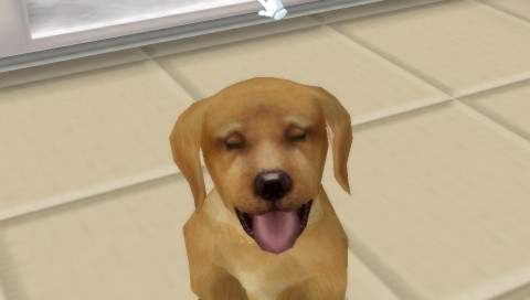 Petz: Dogz Family screenshot 3 for PSP